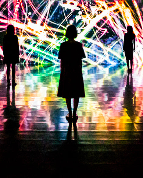 Living Digital Space and Future Parks: A New Digital Art Exhibit in Silicon Valley