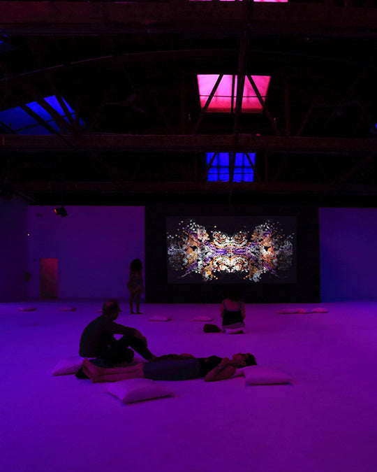 Dia: Chelsea: Daydreaming in 'Dream House'