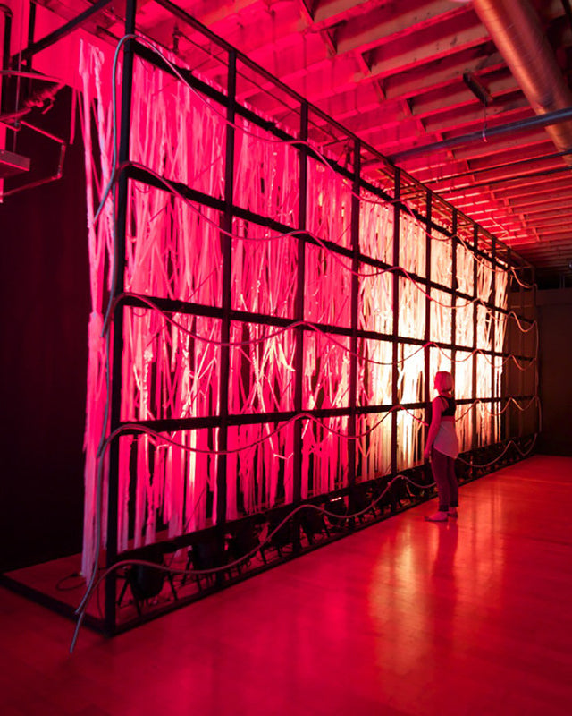Kinetic Installations: Capturing Sound and Movement with Michael Theodore