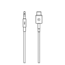 USB-C to 3.5mm Input Cable	